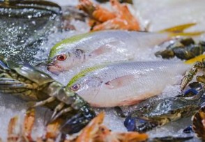 ky开元|朴慧京首场歌友见面会 孔令奇-蔡琳-宋靖宇现身助阵(图1) ky开元电竞