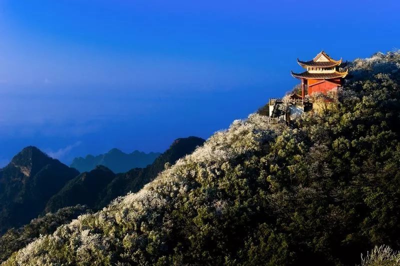 KY开元集团官网