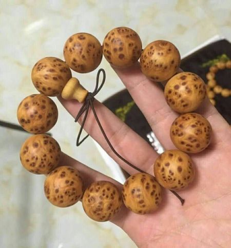 Kourkoulas事务所的雅典商铺贸易公司综合楼建成：jdb电子网站