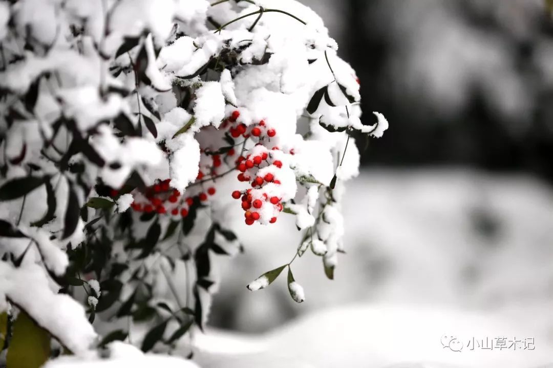 mile米乐(集团)-milesports