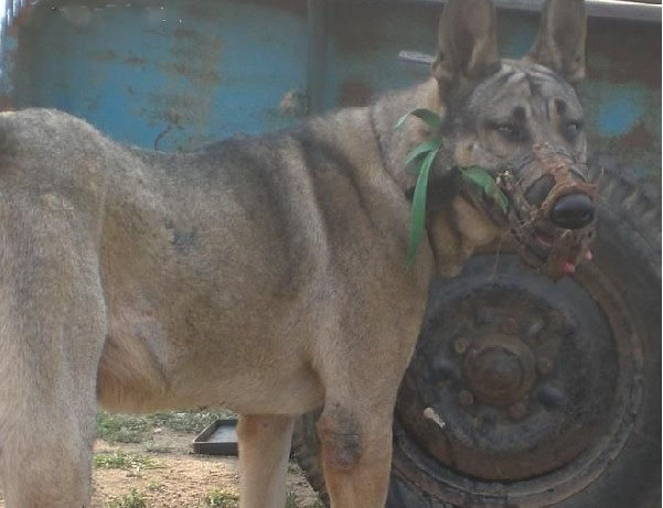ky开元集团官网入口