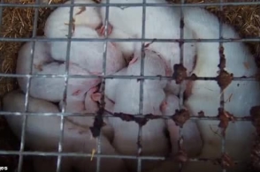 【ky开元】江苏取消58项行政事业性收费 将减负21亿元(图1) KY开元集团官网