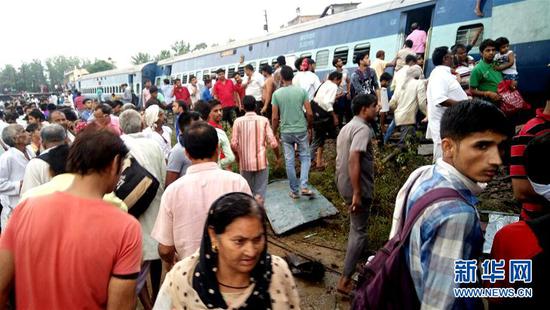 熊猫兔幼兔怎么养?熊猫兔幼兔吃什么?:DB真人旗舰官网(图1) DB真人旗舰·(中国集团)