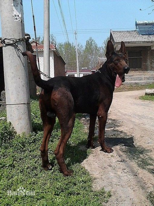 2019房贷利率是多少?房贷利率如何计算_mile米乐(集团)-milesports(图4) mile米乐(集团)-milesports