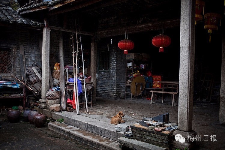 微探人力资源与经济可持续发展之间的关系及对:008pg国际官网版(图1) 008pg国际官网版