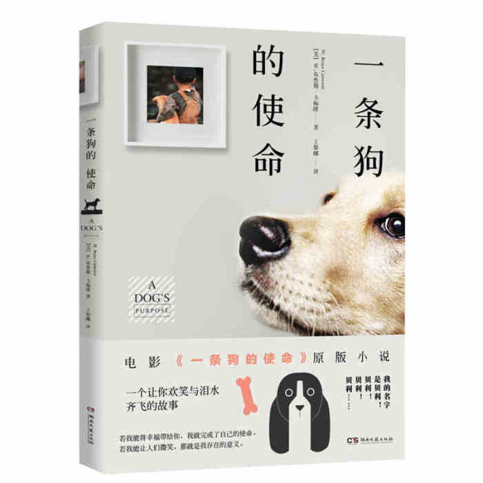 31岁完婚 老公56岁 分居又复合 169cm美艳硬核凯瑟琳泽塔琼斯-ky开元集团(图2) KY开元集团官网