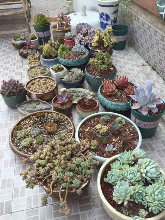 星空·综合(体育中国)