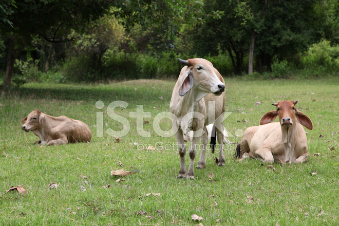 DB真人旗舰官网