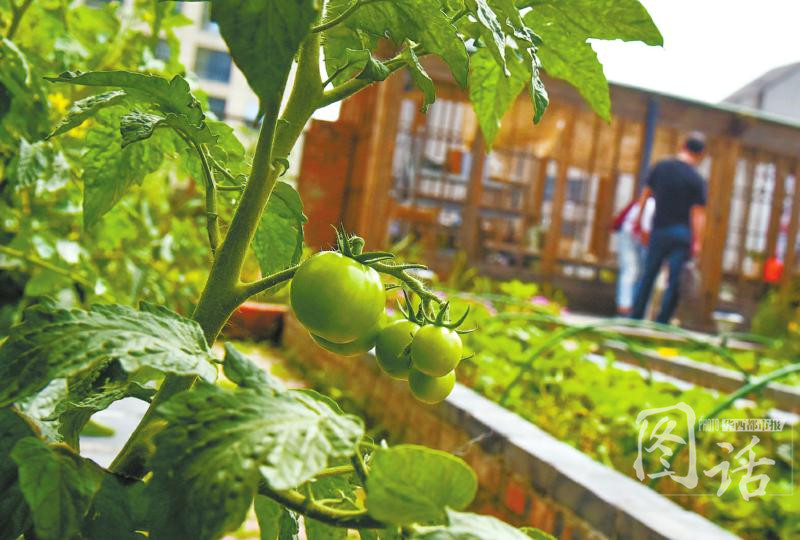 ky开元集团官网入口