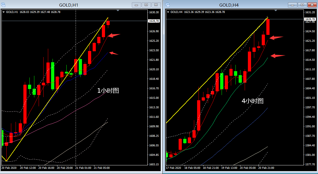 星空综合官方网站