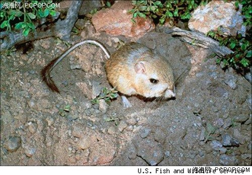 ky开元集团官网