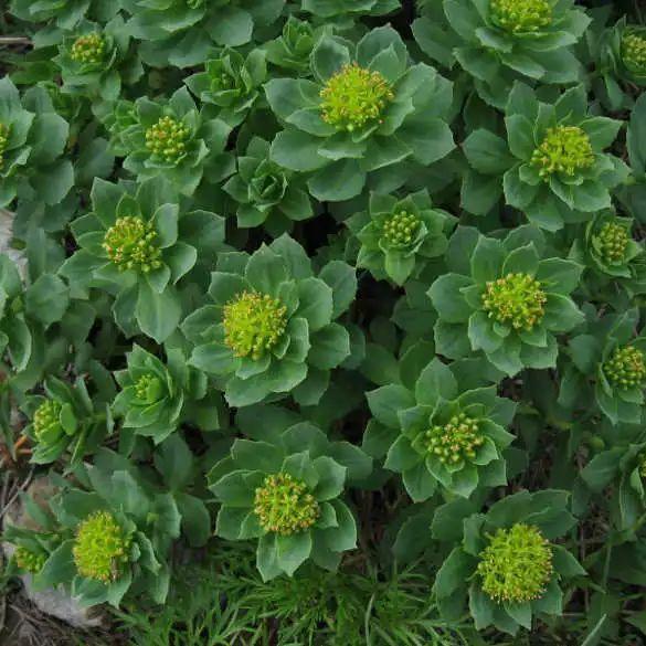 ky开元·(中国)集团官网