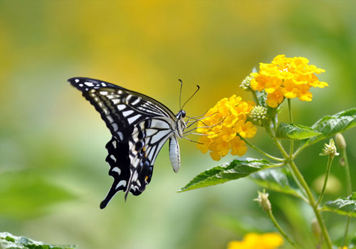 KY开元集团官网