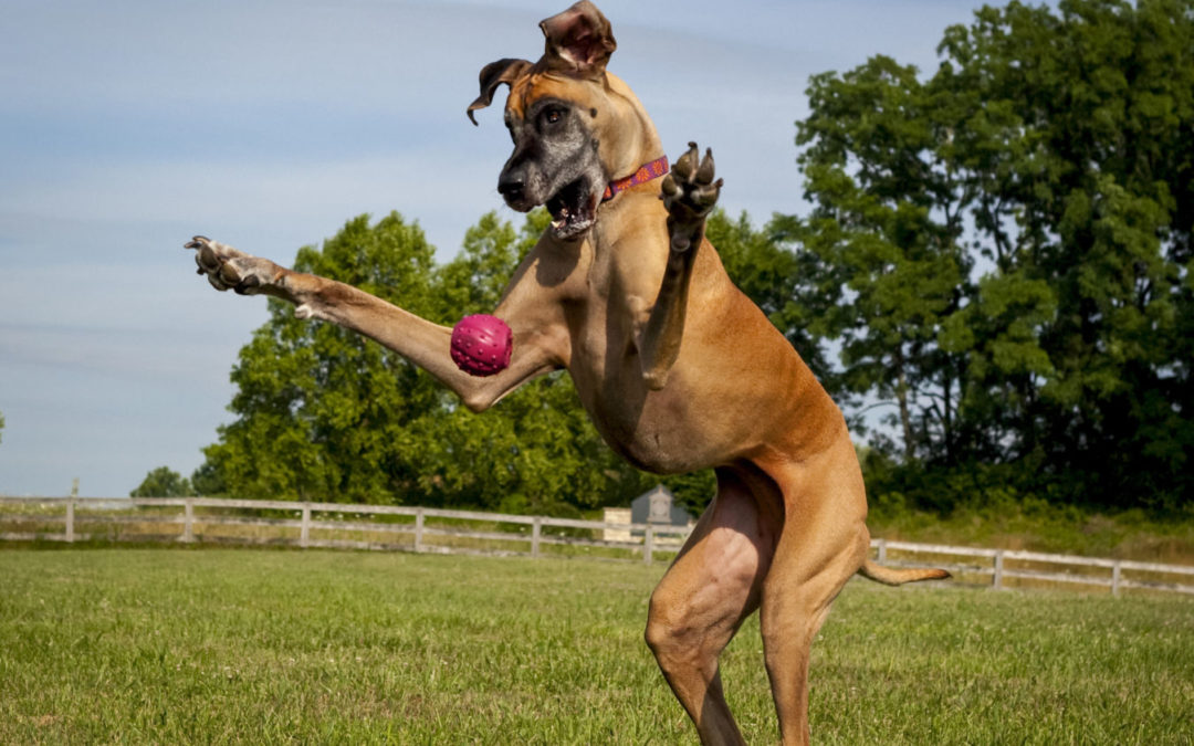 ky开元集团官网入口