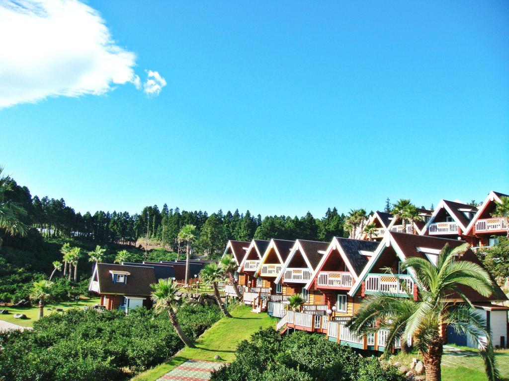 ky开元集团官网入口