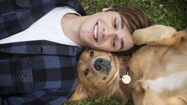 ky开元·(中国)集团官网