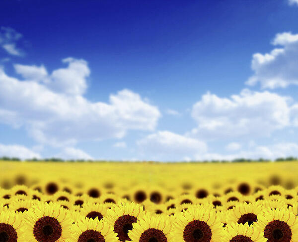 开全国先河宁夏整体规划落入一张图-hth华体登录入口(图1) hth华体登录入口