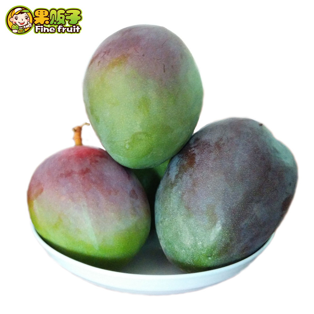 milan米兰:《大逆转裁判2》将登陆iOS与Andriod平台(图1) 米兰官方网站