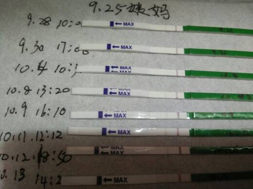 ‘开元ky’旺季来临煤价会重回上升轨道(图2) 开元ky