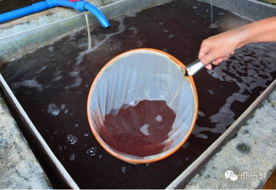 曝斯图尔特已出轨一年 帕丁森要求其搬出豪宅【pg国际008国际官网】(图4) 008pg国际版官网入口